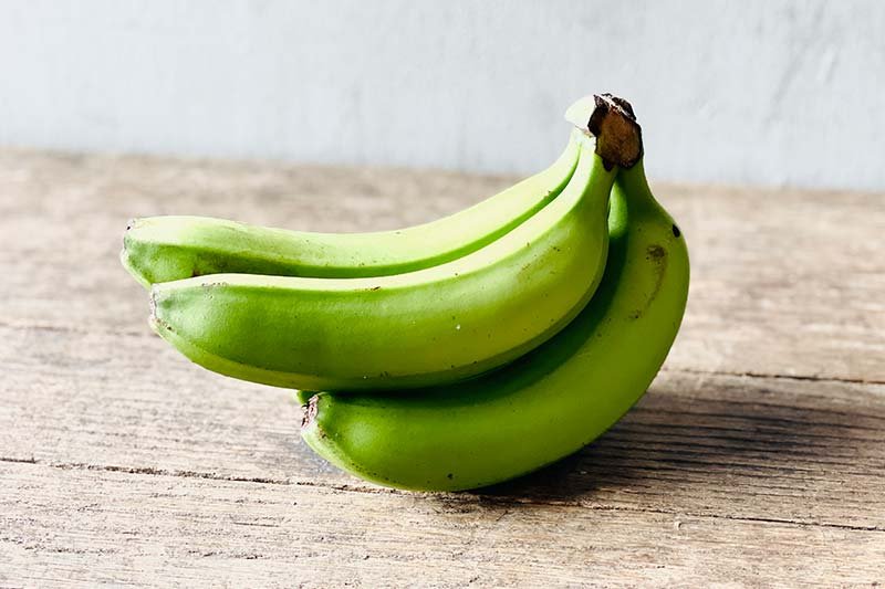Cavendish Banana